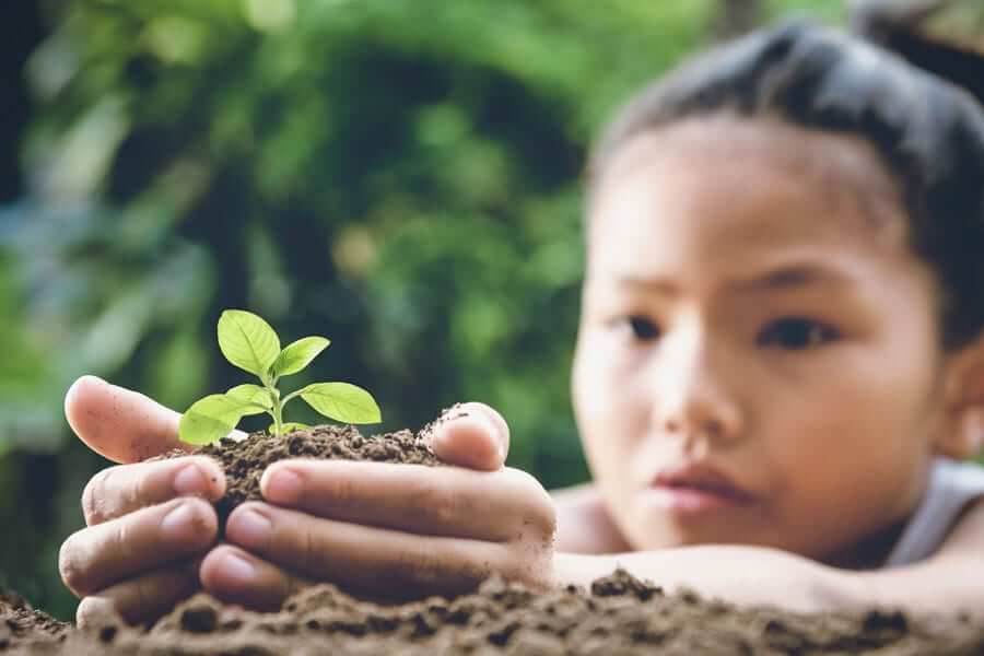 Young child planting small sprout in soil