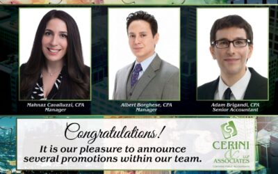 Press Release: Cerini & Associates, LLP Strengthens its Practice Appointing  Multiple Promotions