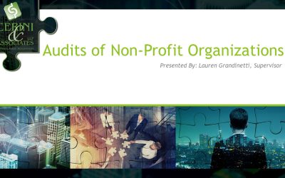 Audits of Non-Profit Organizations – Cerini Short