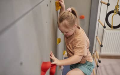 SED Tuition-Based Program Surplus Rules