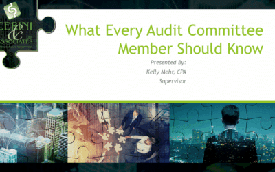 Audit Committee Best Practices to Protect Your Nonprofit – Cerini Short